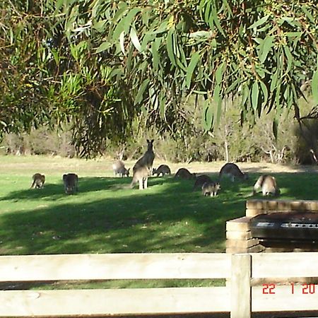 Mountain View Motor Inn & Holiday Lodges Halls Gap Exteriér fotografie
