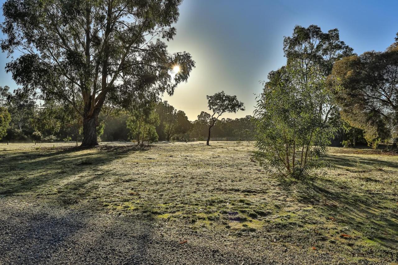 Mountain View Motor Inn & Holiday Lodges Halls Gap Exteriér fotografie